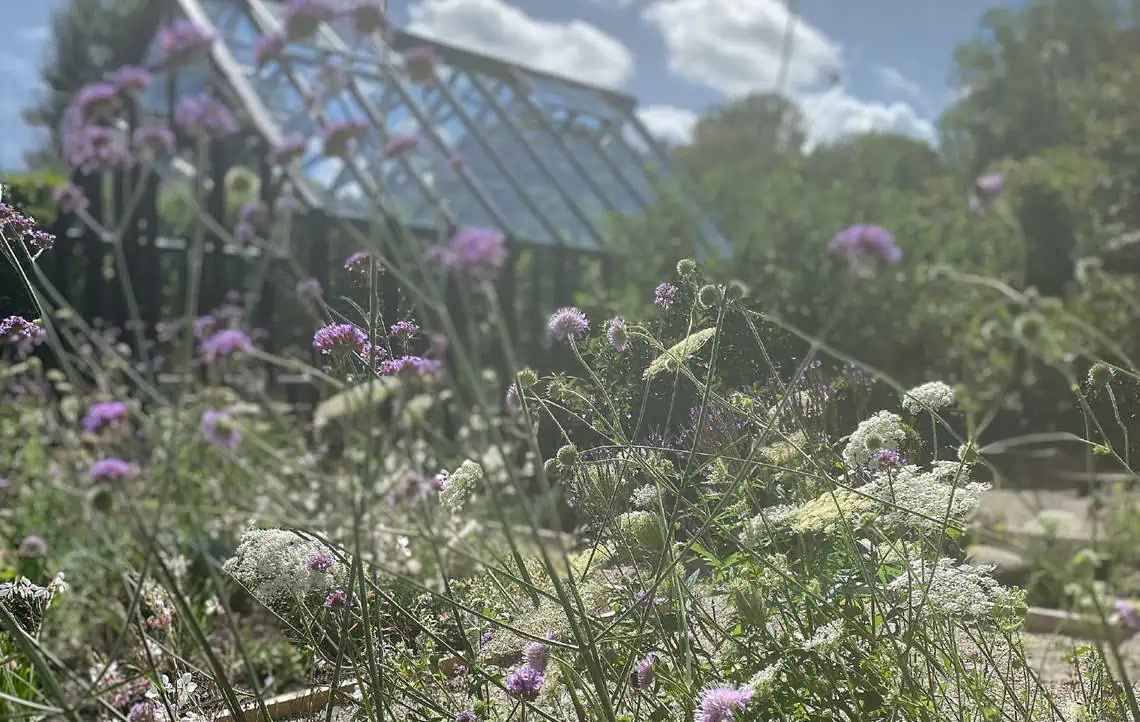 Trædrivhus - The Greenery - Have med blomster